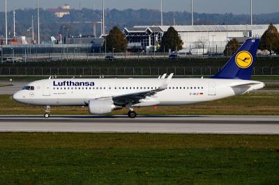 工业中间品采纳中国石河子航空运输送到新加坡