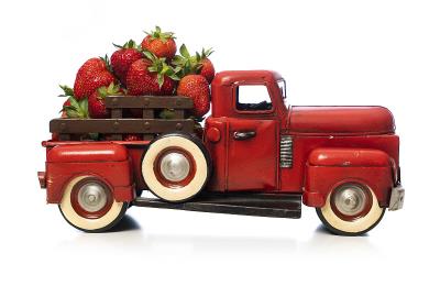 苹果、柑橘利用中国南京多式联运运输到新加坡