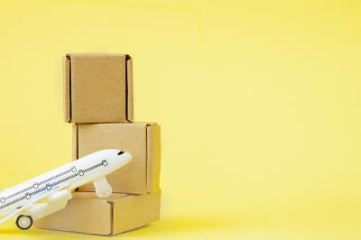 中国鄂州水产品采用国际航空货运8天内速递到新加坡