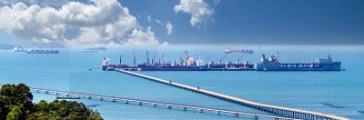 中国武汉中性笔替芯使用空运门到门专线11天速递到新加坡