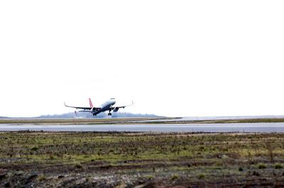 中国福州阿胶补血颗粒采用空运门到门专线10天速递到新加坡