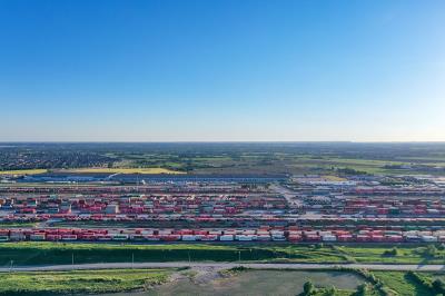 浴花球经鄂州拼货空运送到新加坡