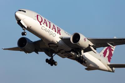 北京到新加坡的兰花苗使用空运派送7天送到