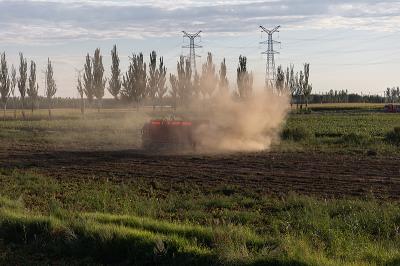 仿首饰采取广州空海联运快速送达新加坡