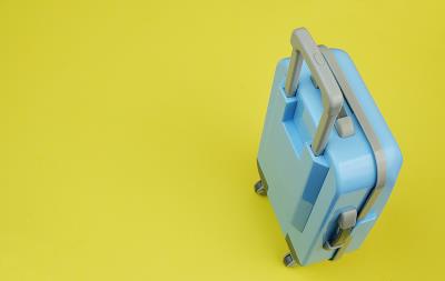 中国上海至新加坡的被子/毛毯/羽绒被使用飞机运输12天内速递到