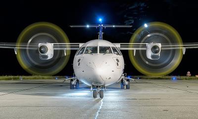 中国深圳至新加坡的红花籽采用航空货运3天内配送到