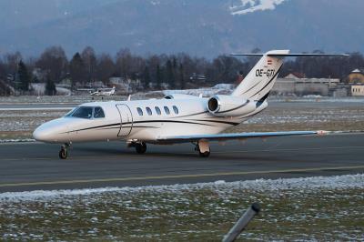 多肉植物运用中国上海普货空运送到新加坡