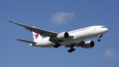 兰花苗运用中国成都空运专线配送到新加坡