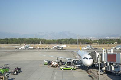 东莞肉类使用空运快递14天内速递到新加坡