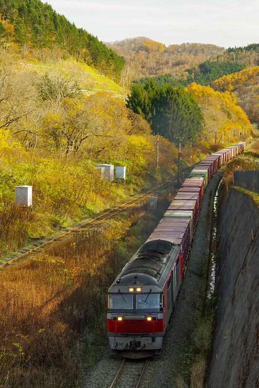 深圳市捷利隆物流有限公司