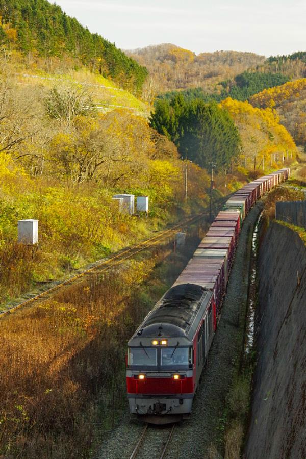 深圳市捷利隆物流有限公司