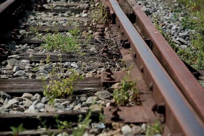 广西南宁鑫淼物流有限公司