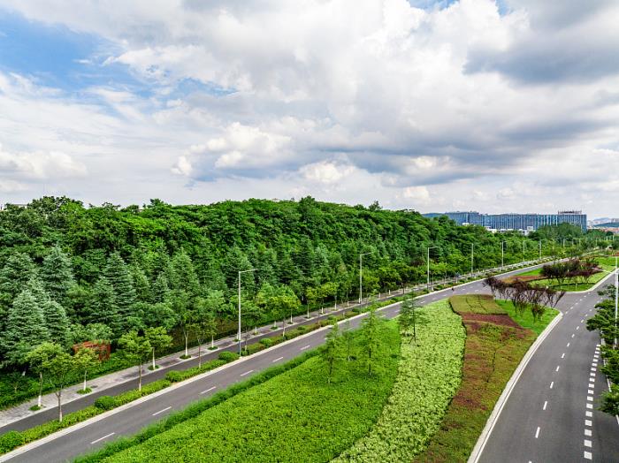 广西佳运物流有限公司