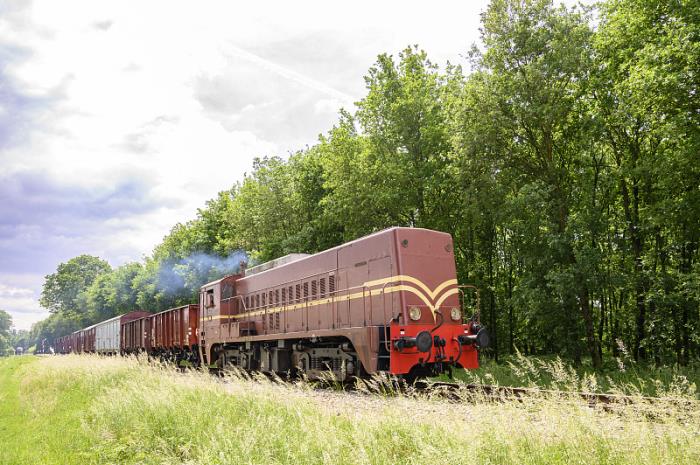 广州市炜豪物流有限公司