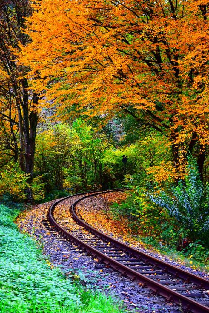 东莞市其昌物流有限公司