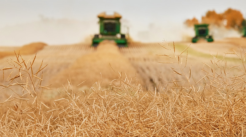 深圳市博威森物流有限公司