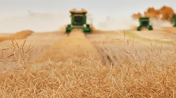 深圳市博威森物流有限公司