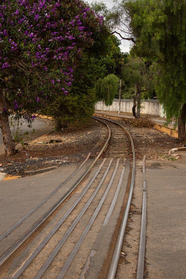 桂林威速物流有限公司