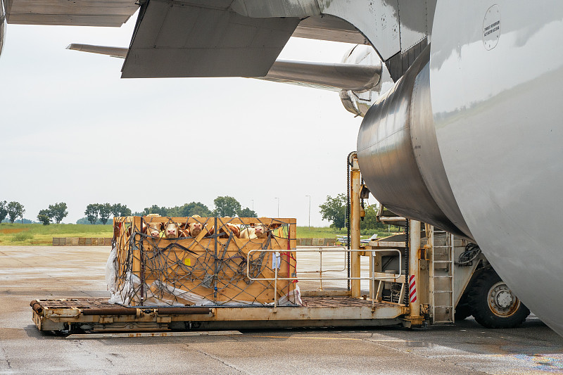 深圳市欧裹国际物流有限公司