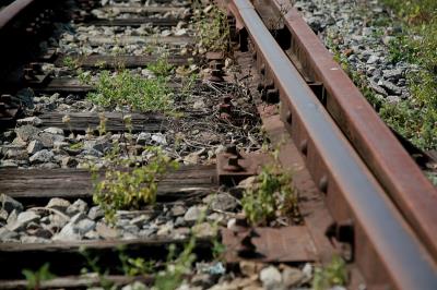 >广西南宁鑫淼物流有限公司