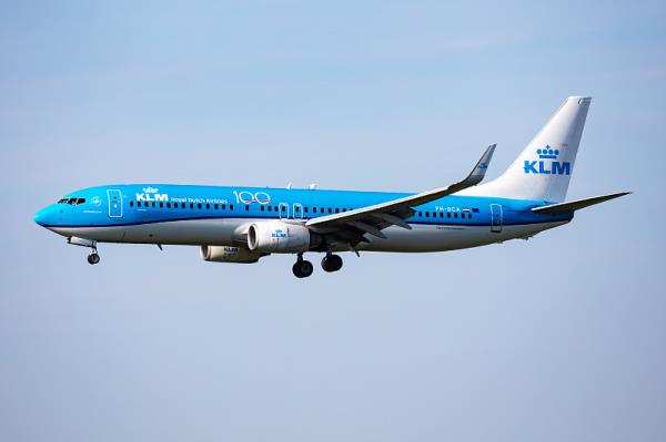 上海聚麒国际物流有限公司