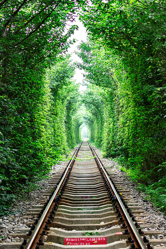 贵港市桂宇物流有限公司