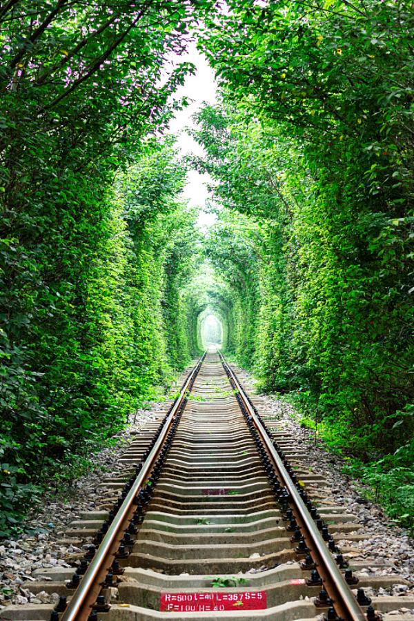 贵港市桂宇物流有限公司