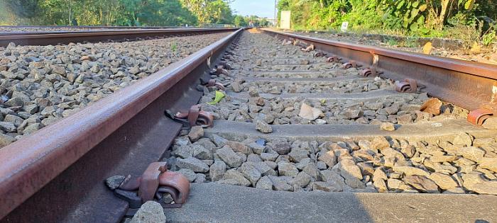 深圳市鸿昇商贸物流有限公司 深圳市鸿昇商贸物流有限公司