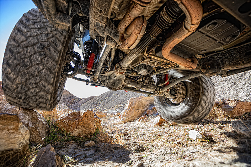 东莞市万利诚物流有限公司