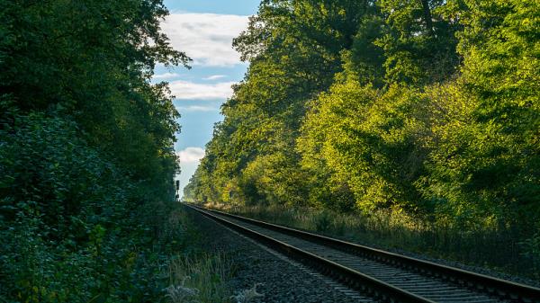 上海聚安航国际物流有限公司