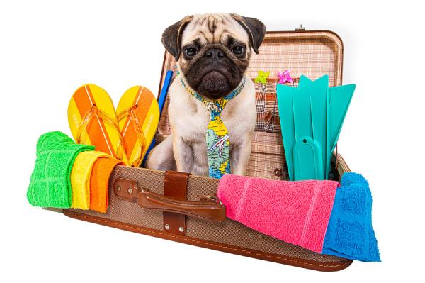 准格尔旗恒盛源物流有限公司