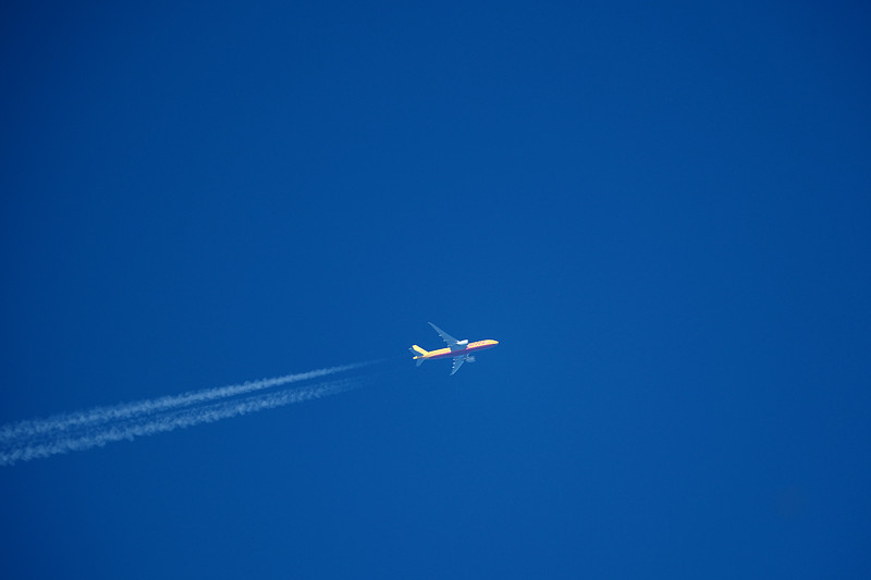 广西自贸区恒康物流有限公司