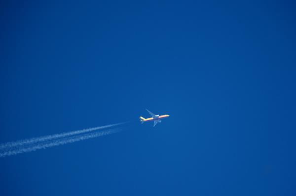 广西自贸区恒康物流有限公司