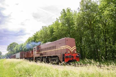 广州市炜豪物流有限公司