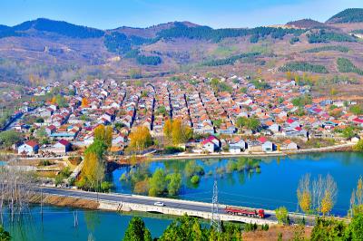 环县陇环木物流有限公司