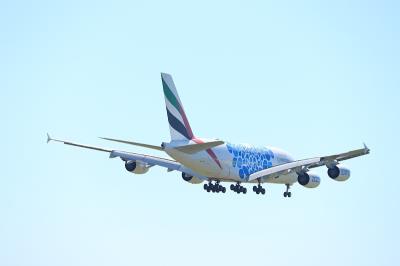 广州智运物流科技有限公司