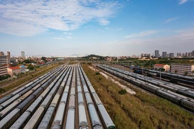 深圳市闭月羞花国际物流有限公司