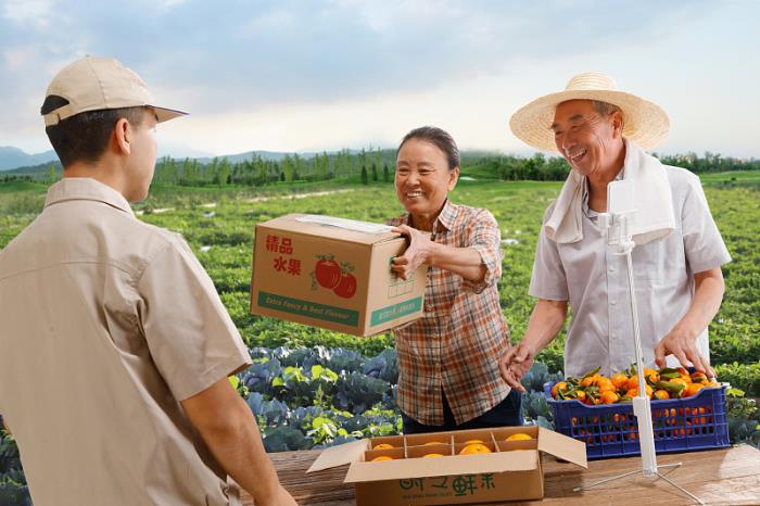 海运订舱为什么要找货代,直接找船公司不行吗 海运订舱为什么要找货代,直接找船公司不行吗