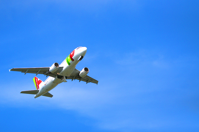 货运猫到新加坡多少钱