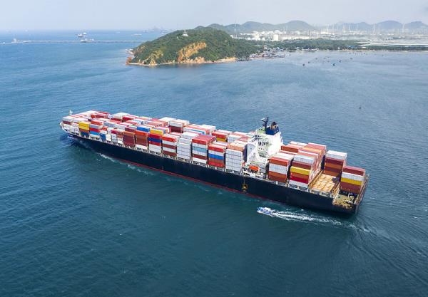 新加坡物流年报怎么填的