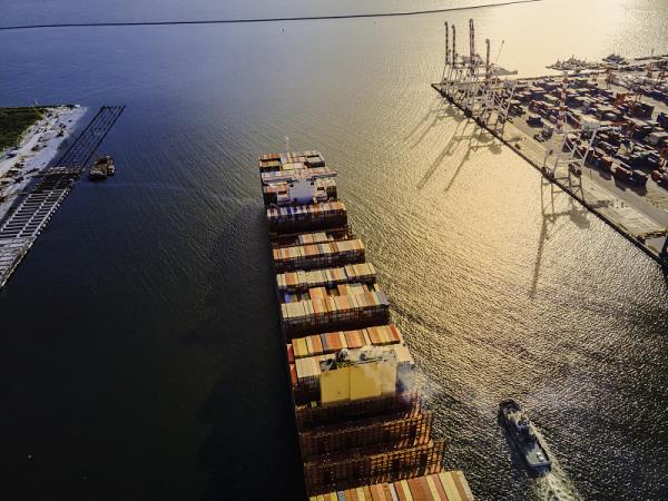 中集冷链物流查询官网