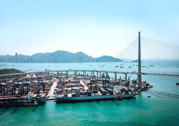 dh1国际快递查询物流信息