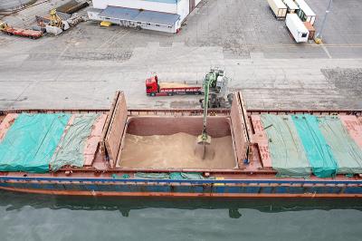 国际运费突然上涨我们应如何应对