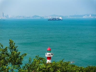 深圳市之宇云端国际物流有限公司相应概要