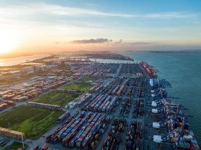 深圳市巨鲸国际物流有限公司部分说明