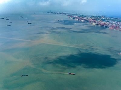 深圳市沃森国际物流有限公司简单说明