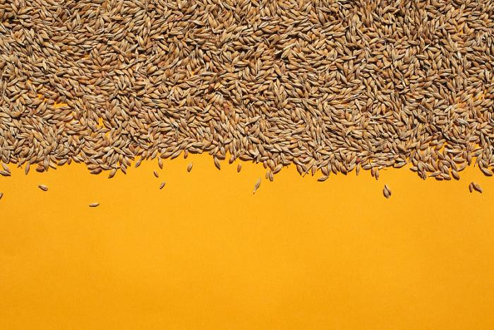 广州领速物流有限公司简单说明