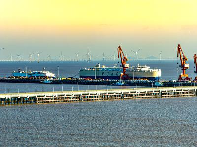 漳州市泽成物流有限公司部分材料