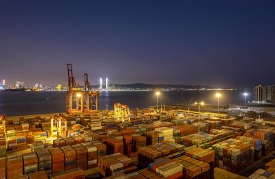 东莞市国渡物流有限公司相应资料