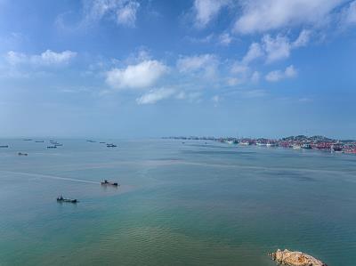 深圳市深越国际物流有限公司有关概要
